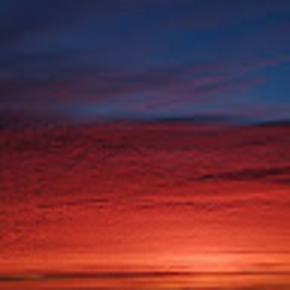 Meet your Posher, Ursula - Picture 1 of 1